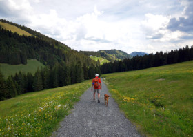 Allgäu - Oberstaufen