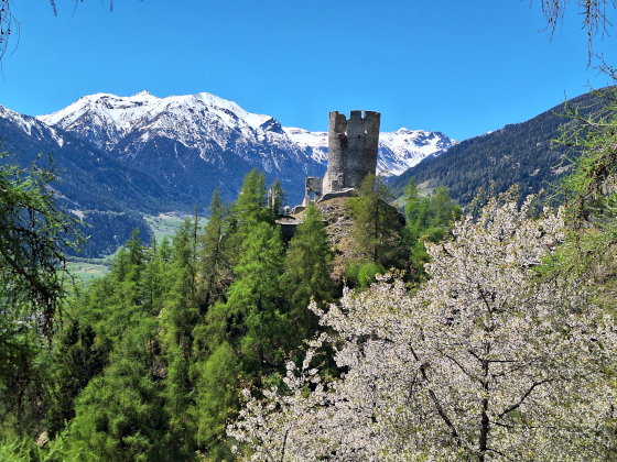 Fastenwandern - Blick auf Burg